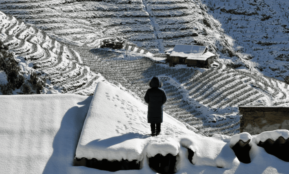 Snow-covered rice terraces in Sapa